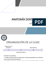 Clase 5. Anatomia Dentaria 2022