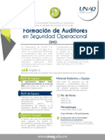 Formacion Auditores Seguridad Operacional 191