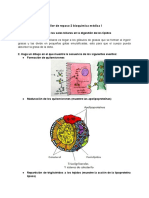 Taller Bioquímica I