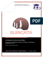 Informe Suricata