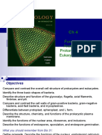 Functional Anatomy of Prokaryotic and Eukaryotic Cells