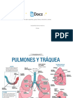 16 Plantillas Domina Medicina 285457 Downloable 1117621