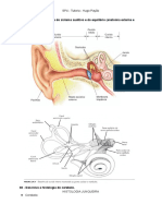 01 - Descreva A Anatomia Do Sistema Auditivo e Do Equilíbrio (Anatomia Externa e Interna)