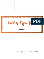 Calores Especificos-PRACTCA LAB