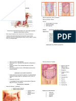 Examen Fisico de Abdomen