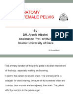 CH 2 Female Pelvis