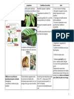 2021 Tableau Champignons Bacteries Virus