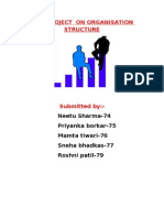 HRM Project On Ion Structure