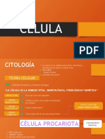 Biología Tema 06 Célula