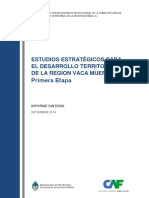 Estudios Estrategicos para El Desarrollo Territorial de La Región Vaca Muerta. Primera Etapa