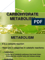 Chapter 11. Metabolism of Carbohydrate