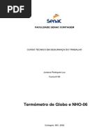 Relatótio Termômetro de Globo e Nho 06