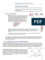 Metabolismo Del Glucógeno