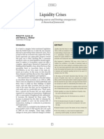 Liquidity Crises: Understanding Sources and Limiting Consequences: A Theoretical Framework