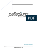 Palladium Accounting Manual 2013