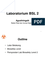 BSL 2