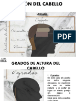 Grados de Altura y Division Del Cabello