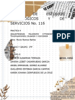 Practica 9 Balantidiasis Paludismo...