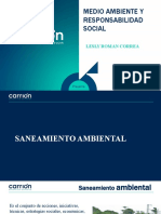 Semana 12 Saneamiento Ambiental