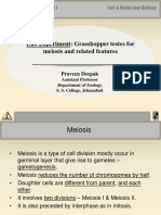 1887304814grasshopper Testes For Meiosis and Related Features