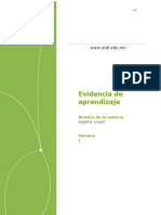 AlgebraLineal Evidencia de Aprendizaje Semana 1