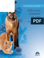 Infectious Diseases in Cats, Practical Guide (VetBooks - Ir)