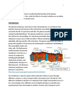 Lab Report 3