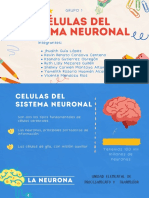 Células Del Sistema Neuronal-Grupo 1