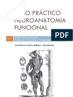 Paso Práctico Neuroanatomia Funcional 2011