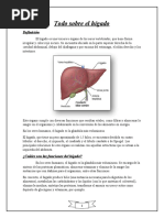 Todo Sobre El Hígado