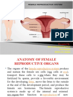 Female Reproductive System