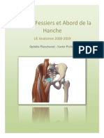 Muscles Fessiers Et Abord de La Hanche