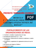 PROYECTO Irrigacion