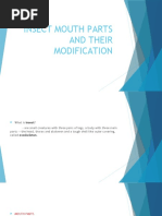 Insect Mouth Parts and Their Modification