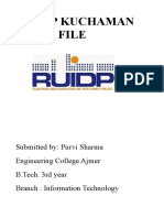 Ruidp 12-1