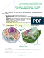 3.2 A Célula Unidade Na Constituição Dos Seres Vivos - A Célula - Ficha Informativa