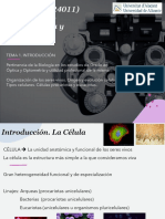 TEMA 1 Origen Clasificacion