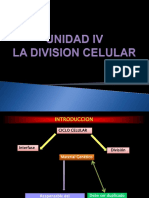 Biologia Unidad Iv