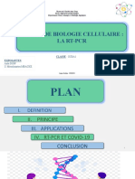 RT PCR