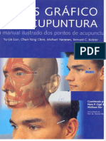 Atlas Grafico de Acupuntura Seirin