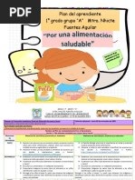 Alimentacion Saludable Primero