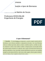 Aula 03 Disponibilidade Tipos Biomassa