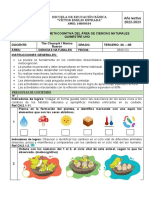 CCNN - Evaluacion - Metacognitiva