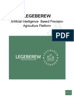 Business Plan For Legeberew