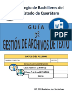 Guia de Regularizacion de Gestion de Archivos de Texto - Mod