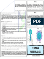 17 - Formas-Acelulares