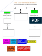 Factores Bióticos Factores Abióticos: Completa El Siguiente Esquema Arrastrando Los Recuadros Correspondientes