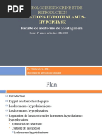 2 Relations Hypothalamus Hypophyse B