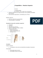 Sistema Músculo-Esquelético Membros Sup. e Inf.