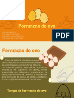 Formaçao Do Ovo